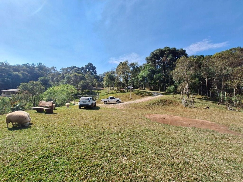 null: 18ª foto da galeria de imagens do imóvel