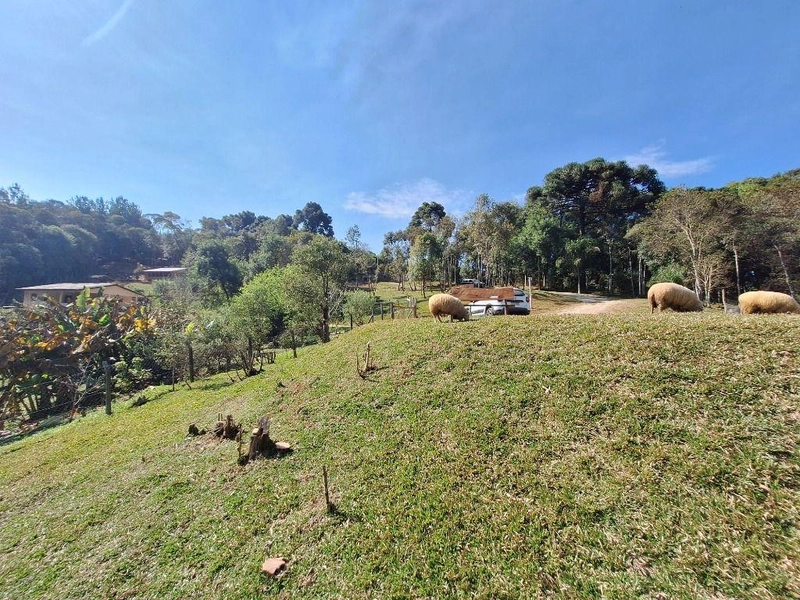 null: 21ª foto da galeria de imagens do imóvel