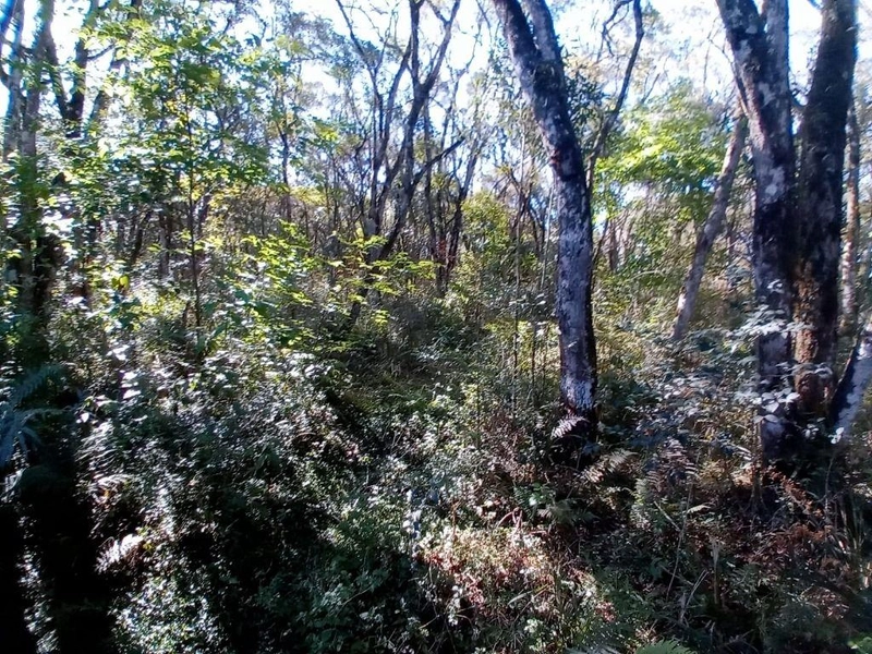 null: 10ª foto da galeria de imagens do imóvel