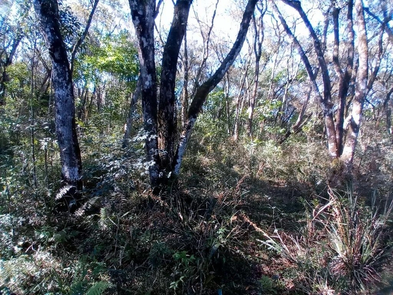 null: 11ª foto da galeria de imagens do imóvel