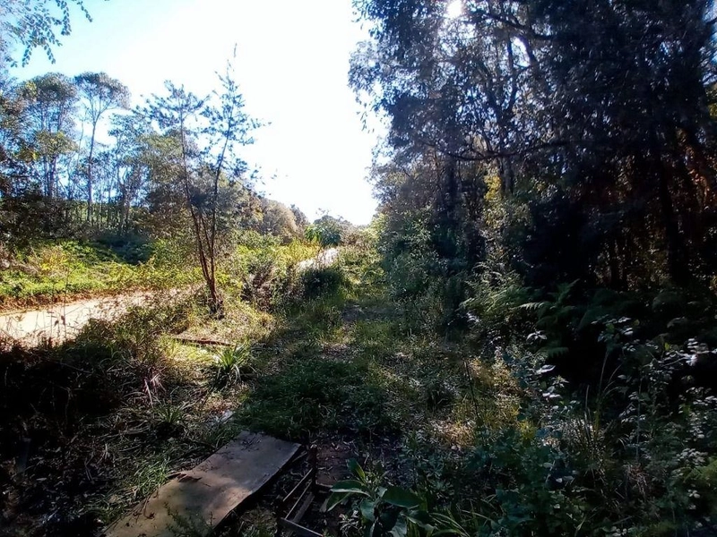 null: 12ª foto da galeria de imagens do imóvel