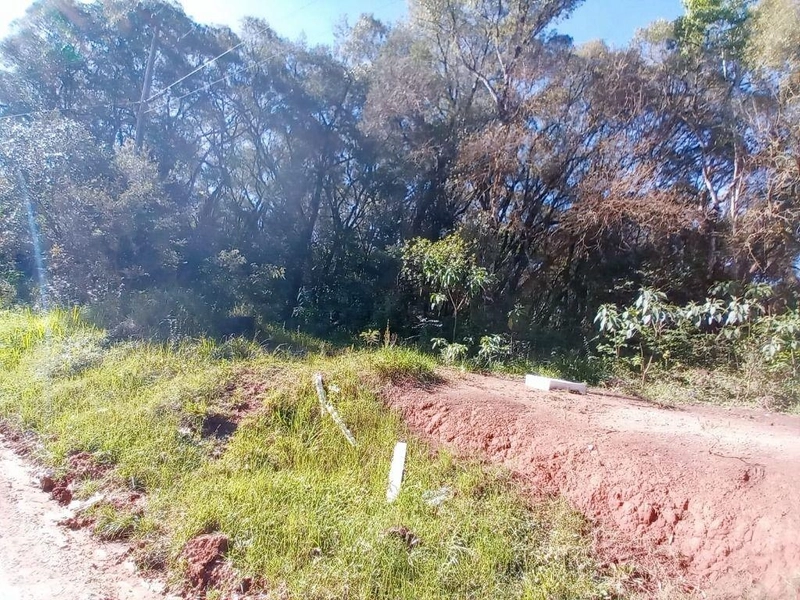 null: 14ª foto da galeria de imagens do imóvel