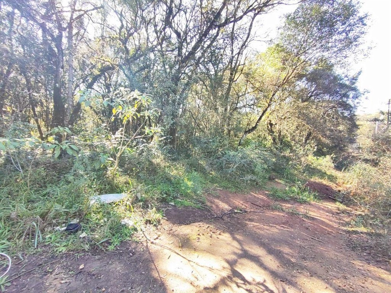 null: 31ª foto da galeria de imagens do imóvel