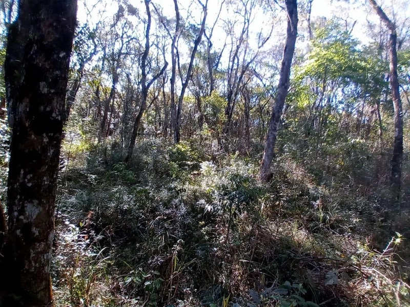 null: 7ª foto da galeria de imagens do imóvel