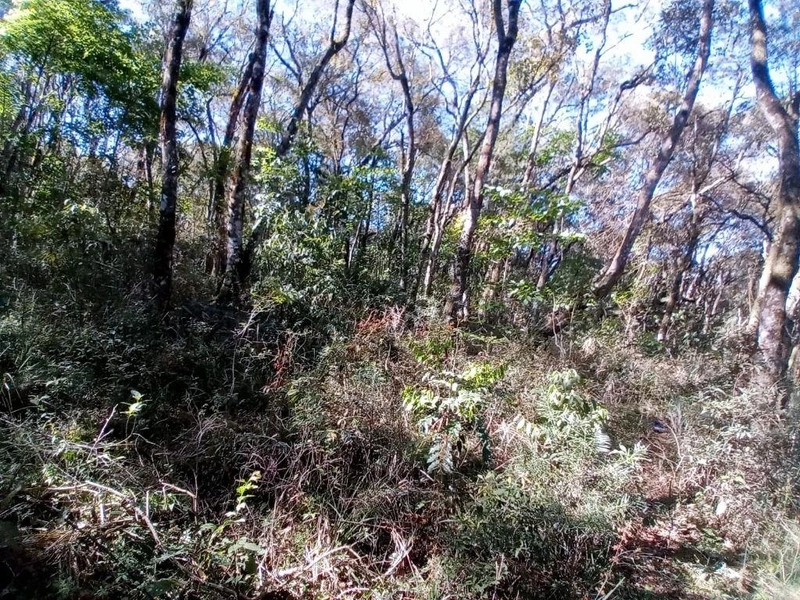 null: 9ª foto da galeria de imagens do imóvel