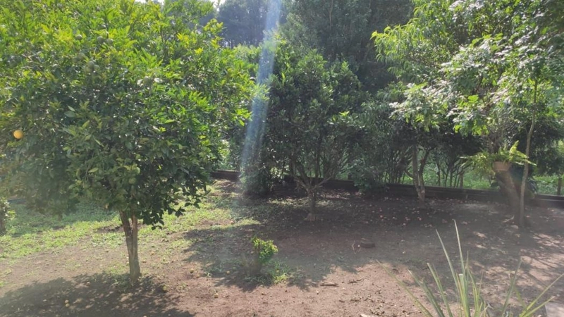 null: 25ª foto da galeria de imagens do imóvel