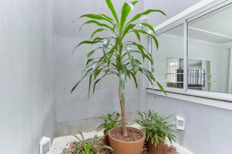 null: 11ª foto da galeria de imagens do imóvel