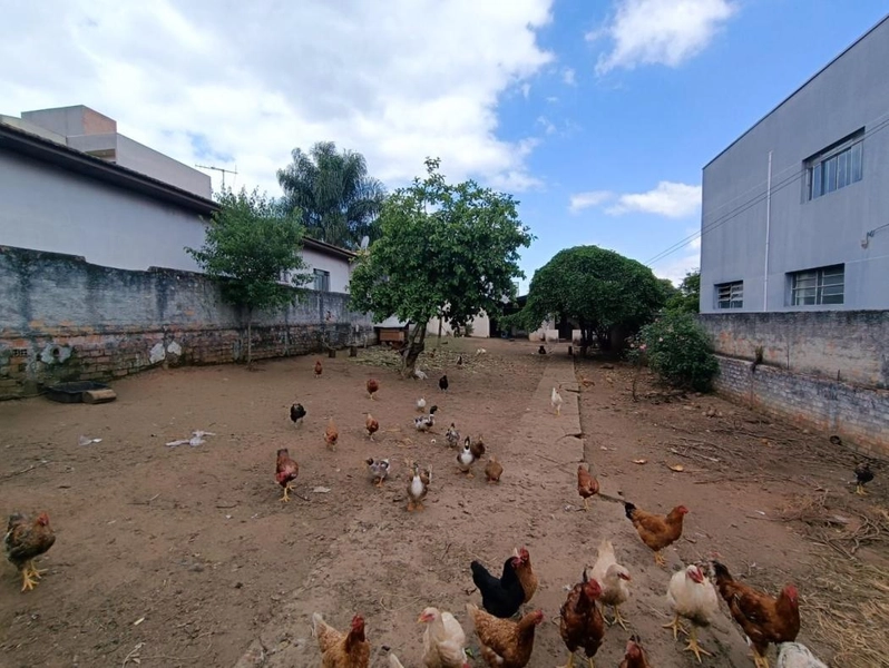 null: 23ª foto da galeria de imagens do imóvel