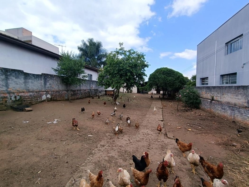 null: 24ª foto da galeria de imagens do imóvel