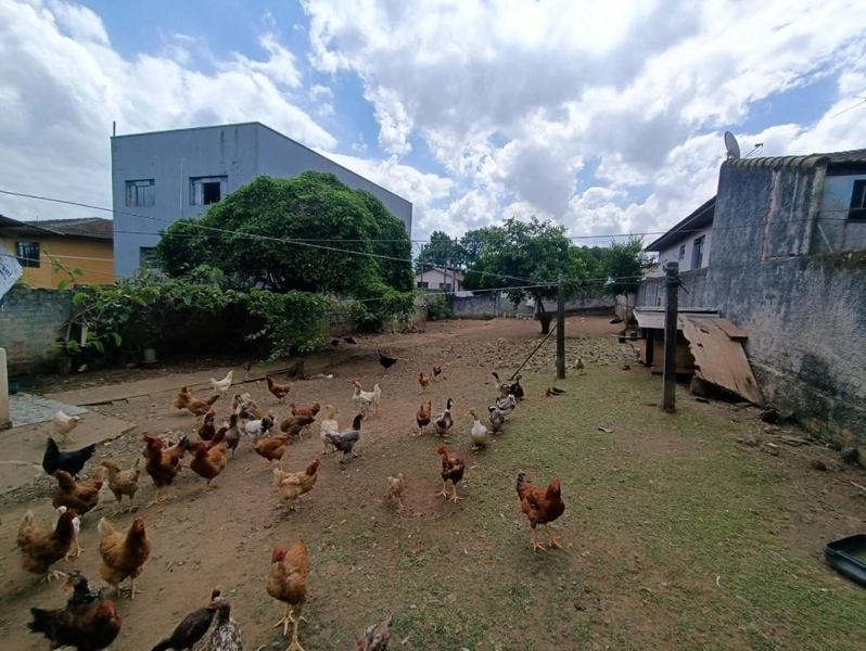 null: 4ª foto da galeria de imagens do imóvel