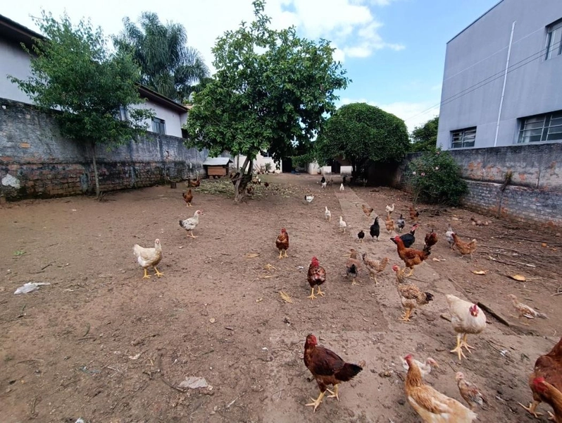 null: 7ª foto da galeria de imagens do imóvel