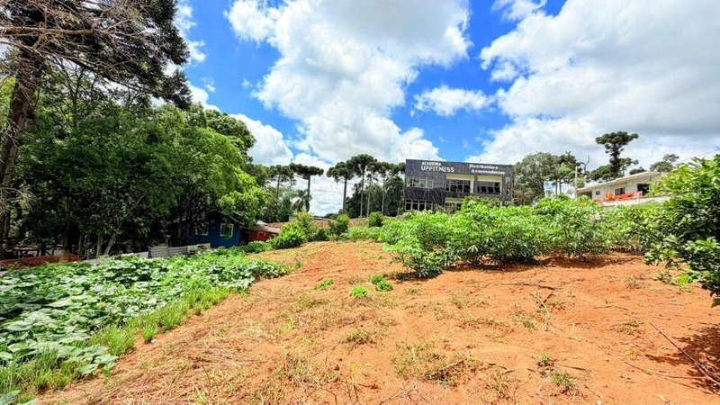 null: 10ª foto da galeria de imagens do imóvel