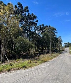 null: 11ª foto da galeria de imagens do imóvel