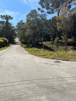 null: 13ª foto da galeria de imagens do imóvel