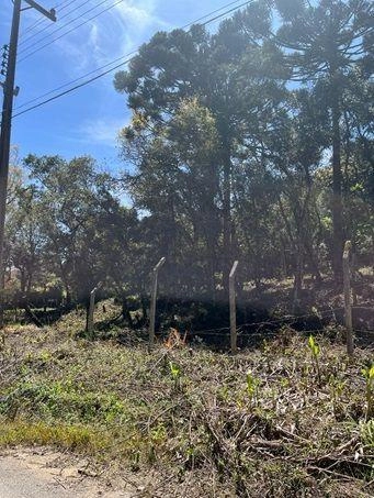 null: 16ª foto da galeria de imagens do imóvel