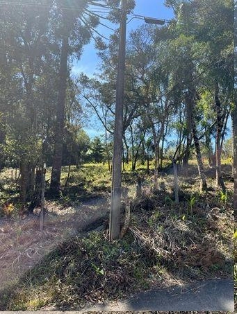 null: 17ª foto da galeria de imagens do imóvel