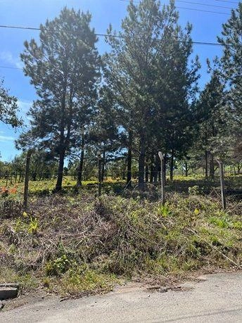 null: 18ª foto da galeria de imagens do imóvel