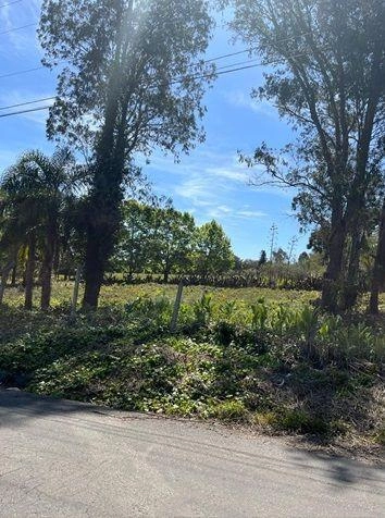 null: 20ª foto da galeria de imagens do imóvel