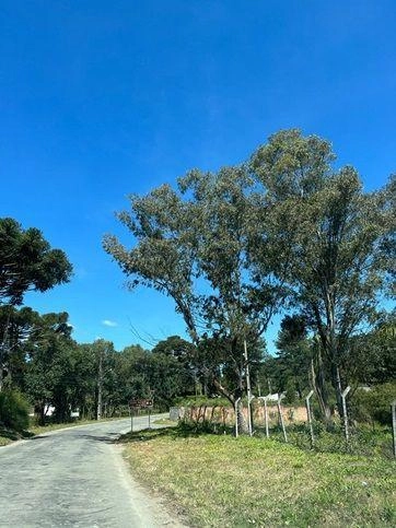 null: 23ª foto da galeria de imagens do imóvel