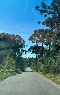 null: 9ª foto da galeria de imagens do imóvel