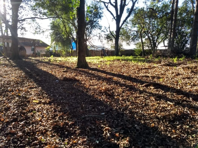 null: 2ª foto da galeria de imagens do imóvel