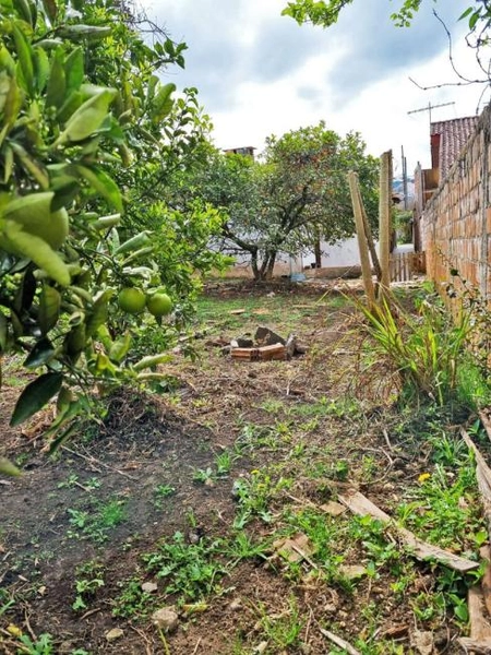 null: 34ª foto da galeria de imagens do imóvel