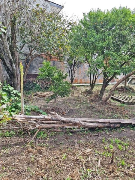 null: 36ª foto da galeria de imagens do imóvel