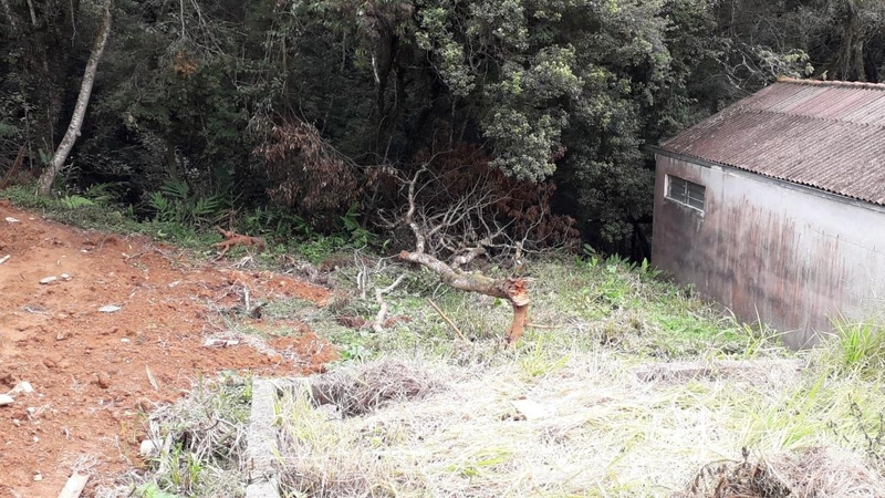 null: 10ª foto da galeria de imagens do imóvel