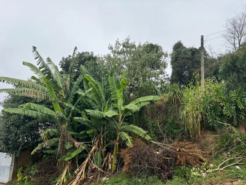 null: 4ª foto da galeria de imagens do imóvel