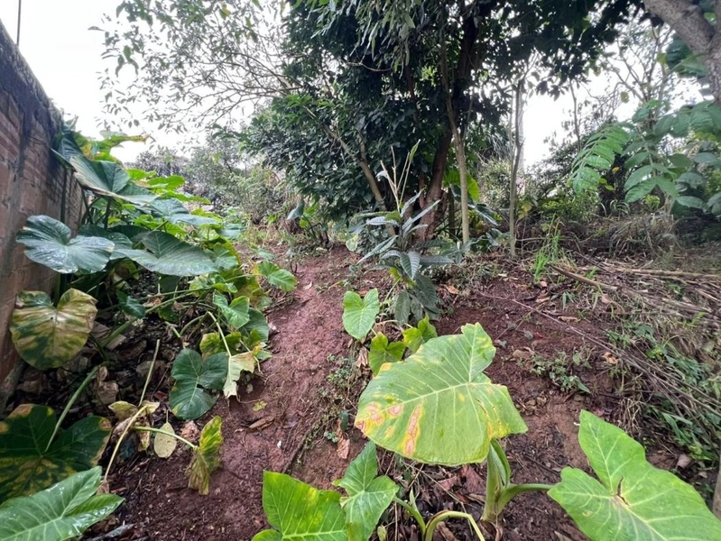 null: 7ª foto da galeria de imagens do imóvel