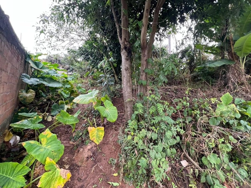 null: 8ª foto da galeria de imagens do imóvel