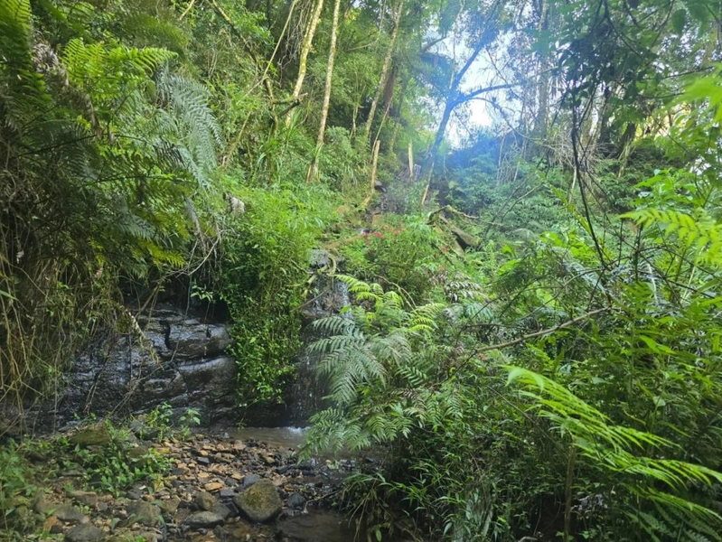 null: 11ª foto da galeria de imagens do imóvel