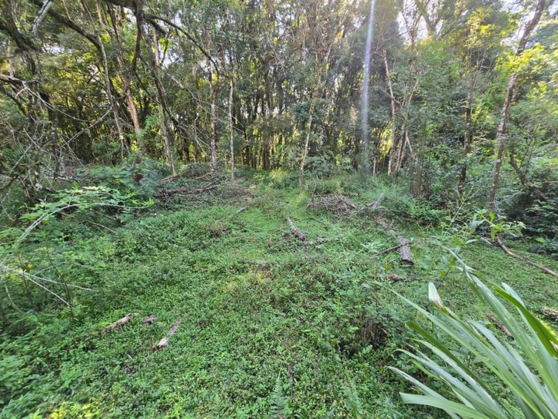 null: 22ª foto da galeria de imagens do imóvel