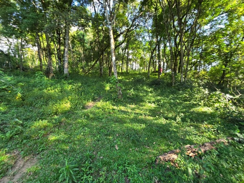 null: 25ª foto da galeria de imagens do imóvel