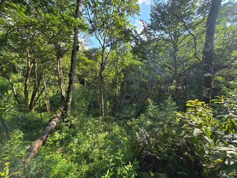 null: 30ª foto da galeria de imagens do imóvel