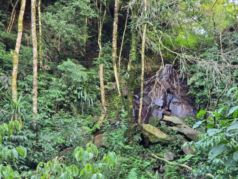 null: 6ª foto da galeria de imagens do imóvel