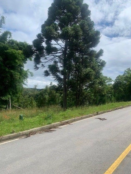 null: 10ª foto da galeria de imagens do imóvel