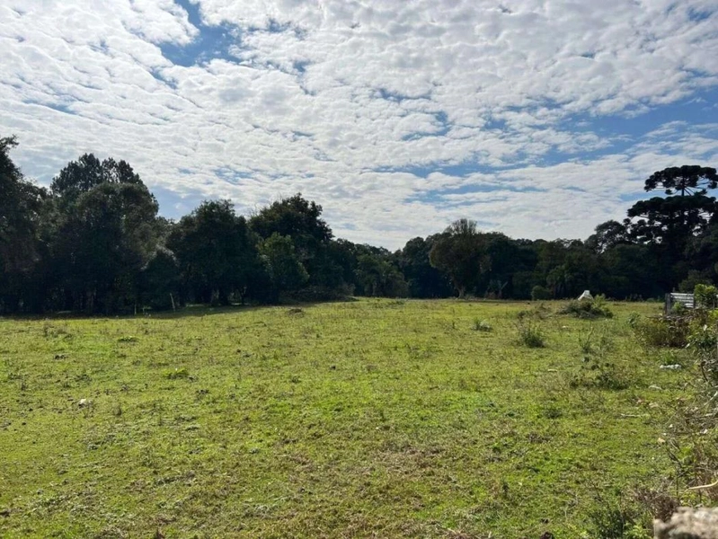 null: 1ª foto da galeria de imagens do imóvel