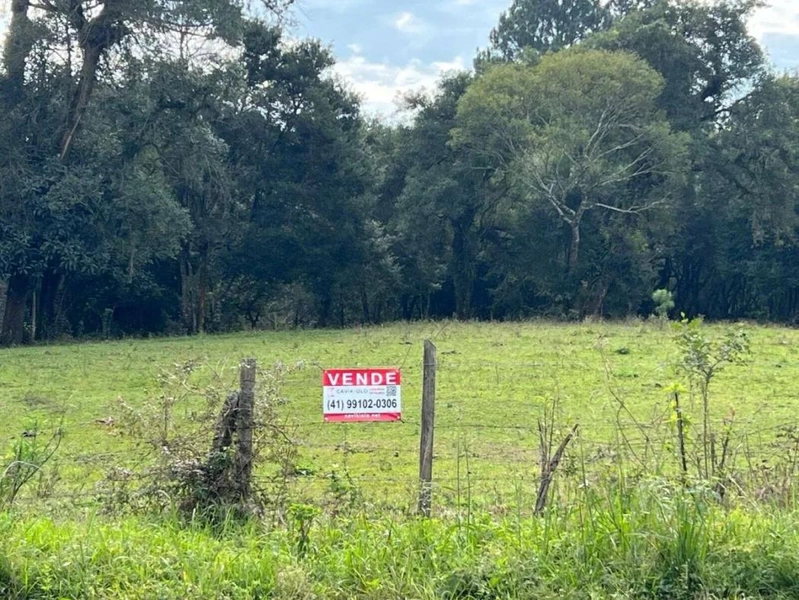 null: 3ª foto da galeria de imagens do imóvel