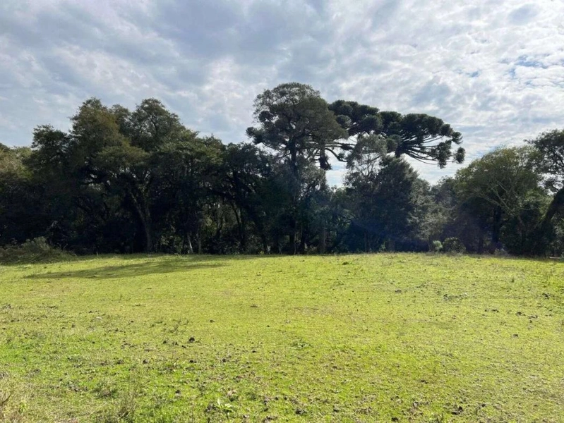 null: 4ª foto da galeria de imagens do imóvel