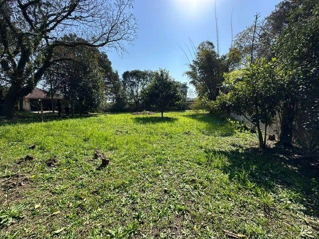 null: 3ª foto da galeria de imagens do imóvel