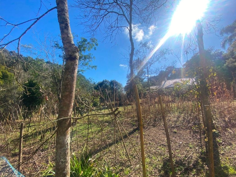 null: 27ª foto da galeria de imagens do imóvel