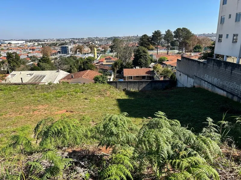 Lote de Terreno com 6.000m² ideal para construção de Apartamentos: 10ª foto da galeria de imagens do imóvel