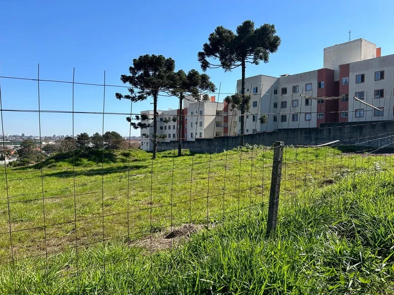Lote de Terreno com 6.000m² ideal para construção de Apartamentos: 14ª foto da galeria de imagens do imóvel