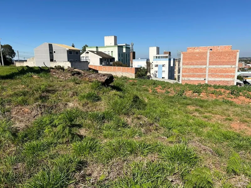Lote de Terreno com 6.000m² ideal para construção de Apartamentos: 11ª foto da galeria de imagens do imóvel