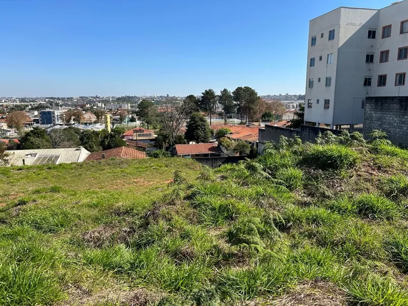 Lote de Terreno com 6.000m² ideal para construção de Apartamentos: 6ª foto da galeria de imagens do imóvel