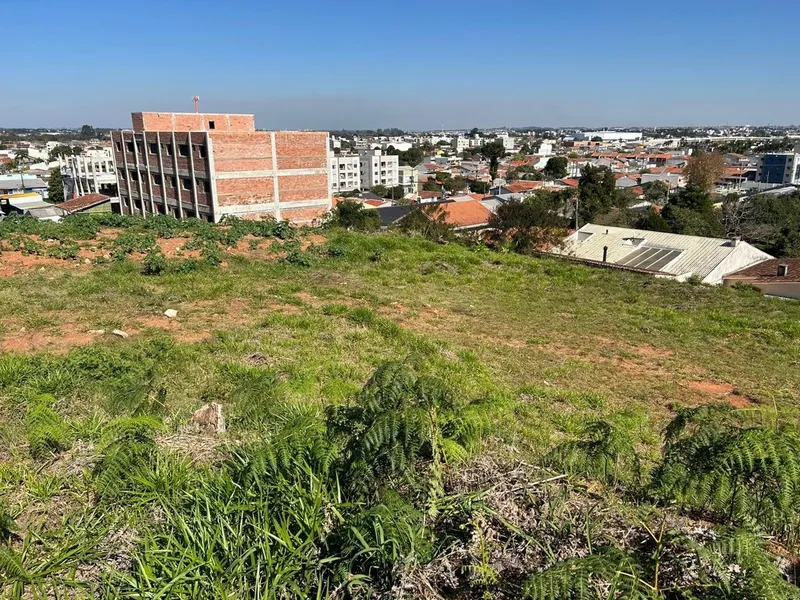 Lote de Terreno com 6.000m² ideal para construção de Apartamentos: 8ª foto da galeria de imagens do imóvel