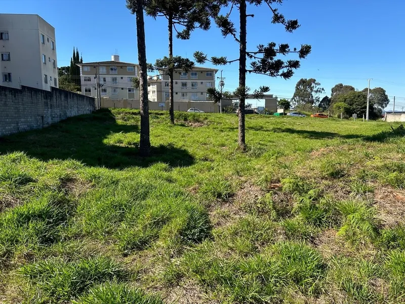 Lote de Terreno com 6.000m² ideal para construção de Apartamentos: 12ª foto da galeria de imagens do imóvel