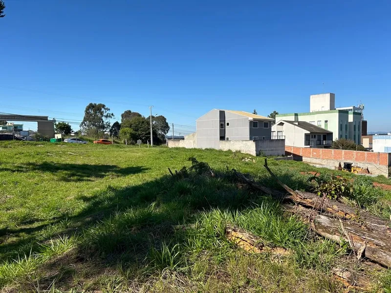 Lote de Terreno com 6.000m² ideal para construção de Apartamentos: 5ª foto da galeria de imagens do imóvel