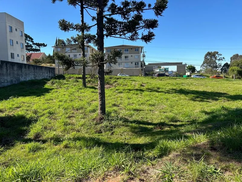 Lote de Terreno com 6.000m² ideal para construção de Apartamentos: 4ª foto da galeria de imagens do imóvel